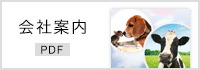 会社案内パンフレット